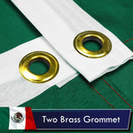 Load image into Gallery viewer, Mexico Mexican Flag 3x5 Ft 10Pack Printed Polyester By G128