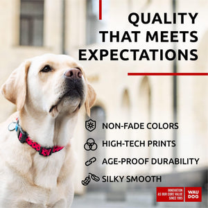 Nylon Dog Collar Adjustable for Large Dogs 1219 inch Neck x 1 inch Watermelon