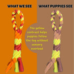 Load image into Gallery viewer, Orange Interactive Tug Toy for Dogs Mental Stimulation Toy Slow Play Treat Dispenser Brain Exercise for Puppies &amp; Seniors Teething Relief Blue Orange Purple (Orange)
