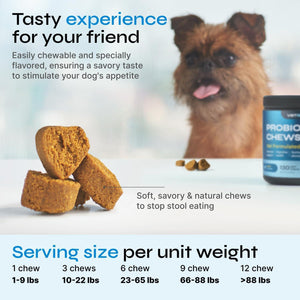 Probiotics for Dogs Chews for Digestive and Gut Health Dental Immune System