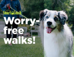 Load image into Gallery viewer, Smart Retractable Leash S – Blue, 12ft, Up to 22lbs / 10kg, with Safety Features for Every Walk
