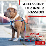 Load image into Gallery viewer, Nylon Dog Leash for Medium and Large Dogs 4 Ft x 1 inch Wide Summer Color

