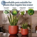 Load image into Gallery viewer, 4 Inch and 6 Inch Terracotta Pot Set of 2 Ceramic Planter Clay Pots for Indoor Plants Succulent Planter with Drainage Hole and Mesh Net DIY Craft Garden &amp; Home Decor