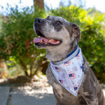 Load image into Gallery viewer, 4th of July Dog Bandana for Large and Small Pets. Reflective Accessories for Walking Camping and Off Leash Exploration 2 Pack.