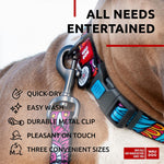 Load image into Gallery viewer, Nylon Dog Leash for Medium and Large Dogs 4 Ft x 1 inch Wide Summer Color
