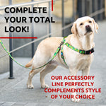 Load image into Gallery viewer, WAUDOG Nylon Dog Leash for Small Dogs and Medium Dogs 4 Ft Strong Dog Leash for Large Dogs Heavy Duty Dog Leashes for Large Breed Dogs &amp; Puppy Leash for Small Boy &amp; Girl Dogs
