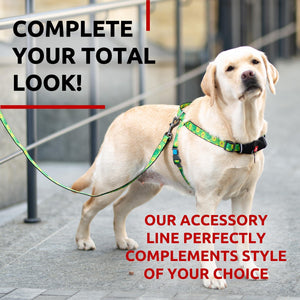 WAUDOG Nylon Dog Leash for Small Dogs and Medium Dogs 4 Ft Strong Dog Leash for Large Dogs Heavy Duty Dog Leashes for Large Breed Dogs & Puppy Leash for Small Boy & Girl Dogs