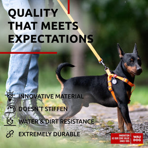 Waterproof Dog Leash 4 Ft 6 Ft Anti Slip Dog Leash for Large Dogs Small and Medium Dogs Heavy Duty Dog Leash with Water and Dirt Resistant Long Or Short Dog Leashes for Boy & Girl Dogs