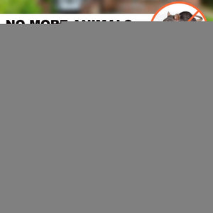 Silicone Griddle Mat Food Grade Silicone Grill Mat Protect the Top Surface 36in