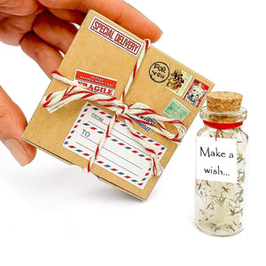 Tiny Magical Message in a Bottle Gift Idea White Dandelion Make a Wish in Box