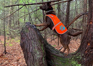 Reflective Dog Vest M Size Chest Size 30.75 In Neck Size 23.5 in Hi Visibility
