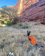Load image into Gallery viewer, Reflective Dog Vest L Size Chest 35.75 In Neck 26.75 in Hi Visibility
