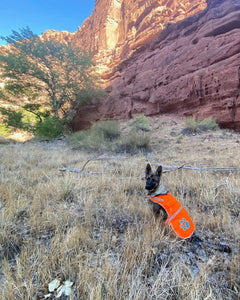 Reflective Dog Vest L Size Chest 35.75 In Neck 26.75 in Hi Visibility
