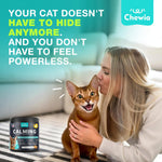 Load image into Gallery viewer, Cat Calming Treats  500 Crunchy Calming Cat Treats with Melatonin for Cats Valerian Root LTheanine Taurine &amp; Probiotics  Cat Vitamins and Supplements for Stress Anxiety Relief All Breeds