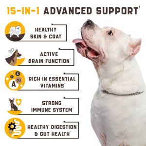15 in 1 Dog Multivitamin Supplements   Immunity Digestion Joint and Heart Health