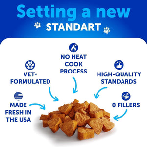 Probiotics for Dogs   Support Gut Health Itchy Skin Allergies Immunity Yeast