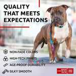 Load image into Gallery viewer, Nylon Dog Leash for Medium and Large Dogs 4 Ft x 1 inch Wide Summer Color
