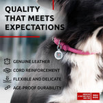 Load image into Gallery viewer, Ultra Soft Rolled Leather Dog Collar for Small Dogs Soft Padded Dog Collars for Medium Dogs Puppy Collars for Large Breed Dogs Male and Female Dog Collar
