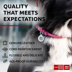 Ultra Soft Rolled Leather Dog Collar for Small Dogs Soft Padded Dog Collars for Medium Dogs Puppy Collars for Large Breed Dogs Male and Female Dog Collar