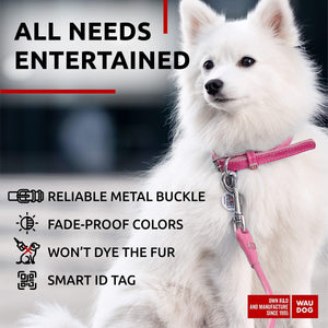 Ultra Soft Rolled Leather Dog Collar for Small Dogs Soft Padded Dog Collars for Medium Dogs Puppy Collars for Large Breed Dogs Male and Female Dog Collar