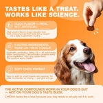 Load image into Gallery viewer, Dog Allergy Relief Chews  Itch Relief for Dogs  180 Allergy Chews for Itching Skin with Probiotics, Colostrum, Salmon Oil  Allergy, Skin and Coat, Immune, Digestion Support Supplement  Hot Spots