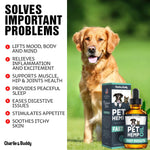 Load image into Gallery viewer, Hemp Oil for Dogs &amp; Cats Anxiety Pain Stress &amp; Sleep Support