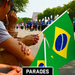 Load image into Gallery viewer, G128 24 Pack Handheld Brazil Brazilian Stick Flags  12x18 In  Printed 150D Polyester, Country Flag, Solid Wooden Stick, Spear Gold Tip