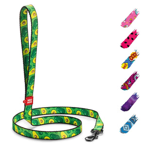 WAUDOG Nylon Dog Leash for Small Dogs and Medium Dogs 4 Ft Strong Dog Leash for Large Dogs Heavy Duty Dog Leashes for Large Breed Dogs & Puppy Leash for Small Boy & Girl Dogs