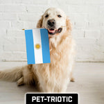Load image into Gallery viewer, G128 12 Pack Handheld Argentina Argentinian Stick Flags  12x18 In  Printed 150D Polyester, Country Flag, Solid Wooden Stick, Spear Gold Tip
