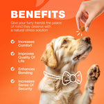 Load image into Gallery viewer, Glucosamine for Dogs Hip &amp; Joint Supplement Chondroitin
