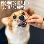 Load image into Gallery viewer, Chicken Jerky Dog Treats Human Grade Grain Free Organic Meat All Natural High Protein Dried Strips Best Chews for Training Small &amp; Large Dogs Bulk Soft Pack Made for USA 24 Oz. (Sweet Potato)