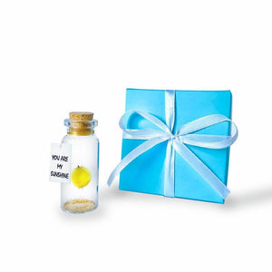 Tiny Magical Message in a Bottle Gift Idea   Classy Inspirational Gifts for Him