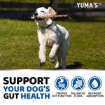 Load image into Gallery viewer, Probiotics for Dogs and Digestive Enzymes 170 Dog Probiotics Chews Pet Fiber
