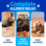 Load image into Gallery viewer, Dog Allergy Relief Chews Itchy Skin Relief Omega-3 Fish Oil