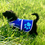 Load image into Gallery viewer, Reflective Dog Vest Hi-Vis S Size Blue