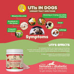 Load image into Gallery viewer, Dog Cranberry Supplement   Natural Dog UTI Treatment &amp; Kidney Support for Dogs.
