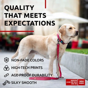 Nylon Dog Leash for Small Dogs and Medium Dogs 4 Ft Strong Dog Leash for Large Dogs Heavy Duty Dog Leashes for Large Breed Dogs & Puppy Leash for Small Boy & Girl Dogs