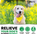 Load image into Gallery viewer, Dog Allergy Relief Chews 240 Treats Dog Itching Skin Relief Treatment Pills Anti Itch Itchy and Paw Licking Hot Spots Omega 3 Fish Oil Dry Skin &amp; Coat Supplement