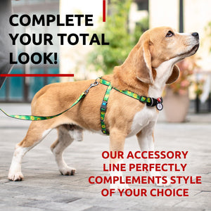 WAUDOG Nylon Dog Leash for Small Dogs and Medium Dogs 4 Ft Strong Dog Leash for Large Dogs Heavy Duty Dog Leashes for Large Breed Dogs & Puppy Leash for Small Boy & Girl Dogs