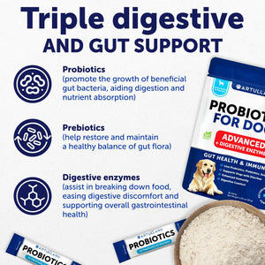 Probiotics for Dogs   Support Gut Health Itchy Skin Allergies Immunity   Reduce