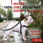 Load image into Gallery viewer, Waterproof Dog Harness Adjustable 20–32 in Metal Clasp &amp; QR Tag Black
