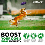 Load image into Gallery viewer, Glucosamine for Dogs Hip &amp; Joint Supplement 170 Chews