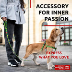 Load image into Gallery viewer, WAUDOG Nylon Dog Leash for Small Dogs and Medium Dogs 4 Ft Strong Dog Leash for Large Dogs Heavy Duty Dog Leashes for Large Breed Dogs &amp; Puppy Leash for Small Boy &amp; Girl Dogs
