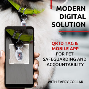 Ultra Soft Rolled Leather Dog Collar for Small Dogs Soft Padded Dog Collars for Medium Dogs Puppy Collars for Large Breed Dogs Male and Female Dog Collar