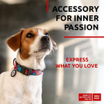 Load image into Gallery viewer, Nylon Dog Collar Adjustable for Small Dogs 914 in Neck x 3/5 in Wide Summer
