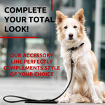 Load image into Gallery viewer, Rolled Leather Dog Leash 4 ft x 0.4 in All Sizes Black