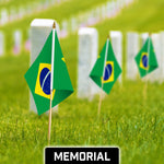 Load image into Gallery viewer, G128 24 Pack Handheld Brazil Brazilian Stick Flags  12x18 In  Printed 150D Polyester, Country Flag, Solid Wooden Stick, Spear Gold Tip