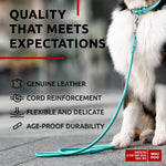 Load image into Gallery viewer, WAUDOG Rolled Leather Dog Leash 4Ft * 0.5 in for Small Medium and Large Dogs Heavy Duty Leather Puppy Leash for Outdoor Walking Running Training Strong Dog Leashes for Large Breed Dogs (Mint)
