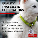 Load image into Gallery viewer, Green Rolled Leather Dog Collar Padded All Sizes 10–13 in Neck