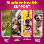 Load image into Gallery viewer, Dog UTI Treatment Cranberry Supplement Bladder Control 70 Soft Chews